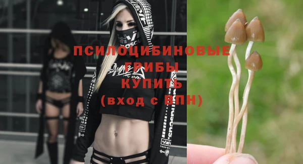 стафф Волоколамск